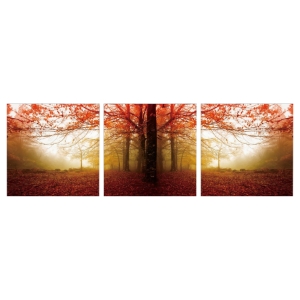 Modrest Autumn 3 Panels Photo on Canvas - Multicolor 