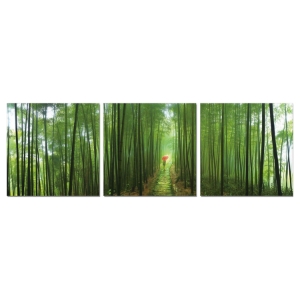 Modrest Forest 3-Panel Photo on Canvas - Multicolor 