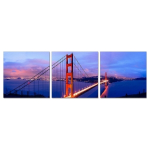 Modrest San Francisco 3-Panel Acrylic Painting - Multicolor 