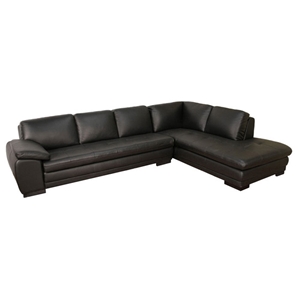 Timothy Leather Sectional with Chaise 