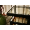 Clara 3-Tiered End Table with Glass Shelves - WI-CT-089B-BLK