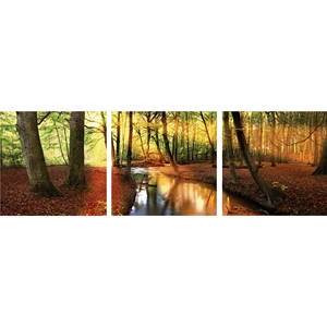 Forest Oasis Mounted Photography Print Triptych - Multicolor 