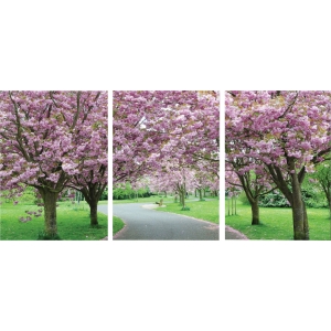 Spring in Bloom Mounted Photography Print Triptych - Multicolor 
