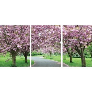 Spring in Bloom Mounted Photography Print Triptych - Multicolor 