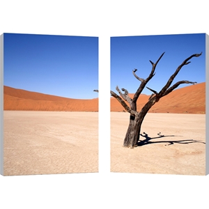 Desert Solitude Mounted Photography Print Diptych - Multicolor 