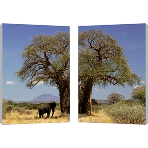 Tree of Life Mounted Photography Print Diptych - Multicolor 