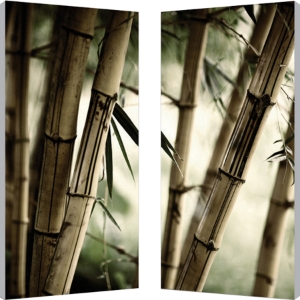 Bamboo Stalks Mounted Photography Print Diptych - Multicolor 