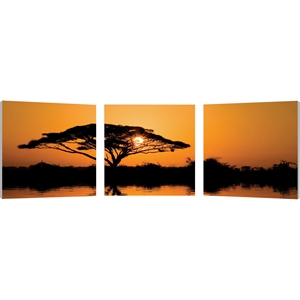 Savannah Sunset Mounted Photography Print Triptych - Multicolor 