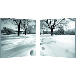 Telltale Trail Mounted Photography Print Diptych - Black, White 