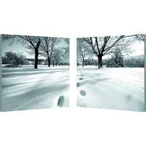 Telltale Trail Mounted Photography Print Diptych - Black, White 