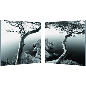 Rocky Shore Mounted Photography Print Diptych - Black, White 