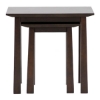 Havana Wood Modern Nesting Table Set - WI-RT157E-OCC