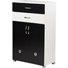 Heidi 2 Drawers Shoe Cabinet - Black, White - WI-SC864615-BLACK-WHITE