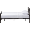 Rosalyn Metal Bed - Black - WI-TS1137-BLACK-BED