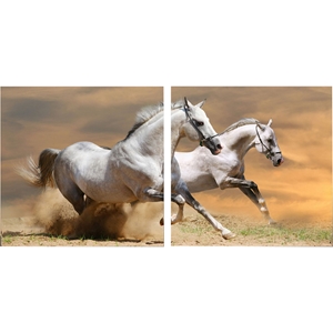 Galloping Grandeur Mounted Photography Print Diptych - Multicolor 