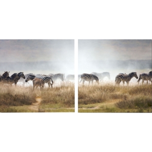 A Zeal of Zebras Mounted Photography Print Diptych - Multicolor 