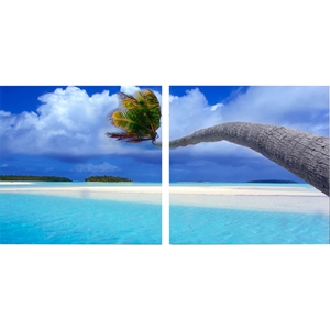 Windswept Palm Mounted Photography Print Diptych - Multicolor 