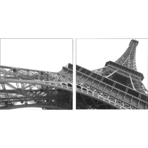 Sculptural Majesty Mounted Photography Print Diptych - Black, White 