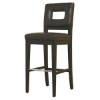 Franklin Dark Brown Leather Barstool - WI-Y-780-FU001-1
